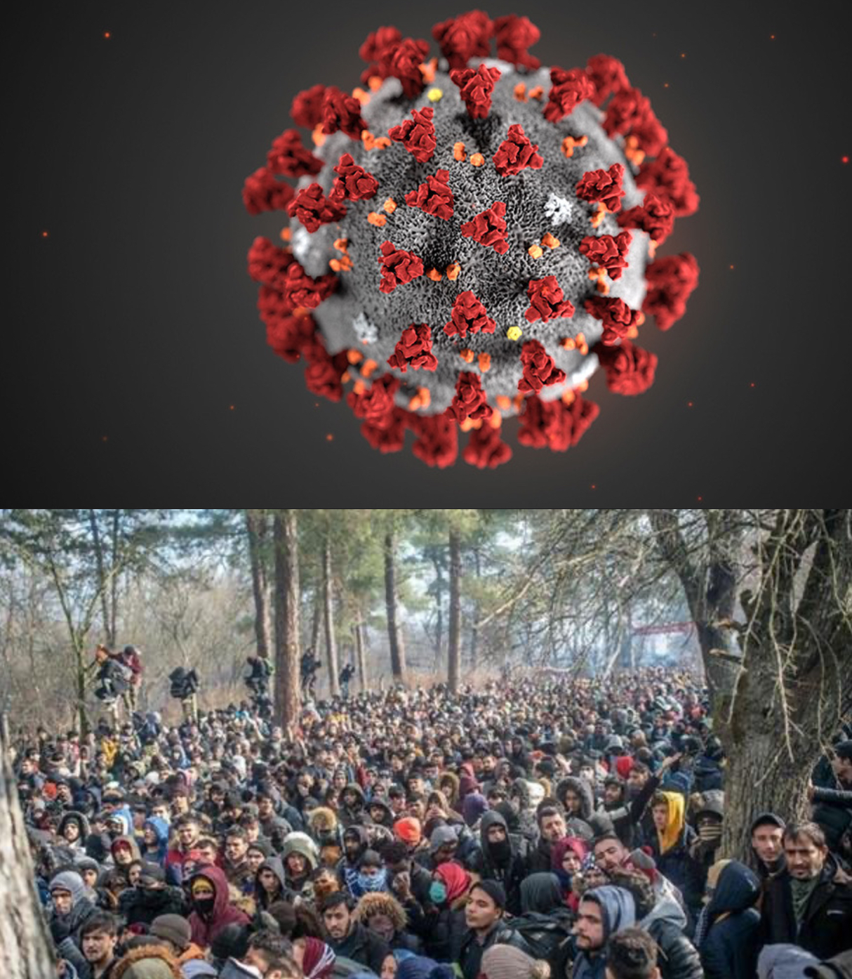 Coronavirus
